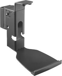 Crystal Audio WM5