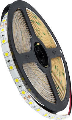 GloboStar Wasserdicht LED Streifen Versorgung 24V mit Kaltweiß Licht Länge 5m und 60 LED pro Meter SMD5050