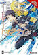 Sword Art Online Vol. 13