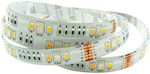 Bandă LED Alimentare 12V RGB Lungime 5m și 72 LED-uri pe Metru SMD5050