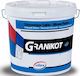 Vitex Σοβάς Plaster Fillers Granikot Silicone for Flat Finish 1.0mm 2000780V 5kg