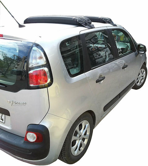 HandiWorld für Citroen C3 Picasso 2008-2017 Ohne Parallelstangen (ohne Beine)