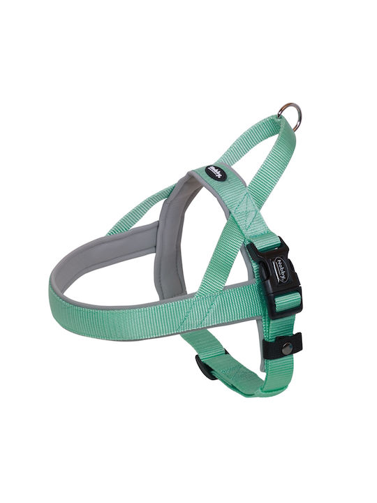 Nobby Ham pentru câini Formare Classic Preno Royal Turcoaz Mediu / Mici 25mm x 38-50cm 80531-40