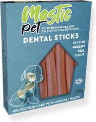 Mastic Pet Stick Gegen Stein & Platte 100gr