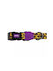 Zee-Dog Honey Κολάρο Σκύλου Small 15mm x 31 - 43cm