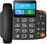 MaxCom MM42D Kabelgebundenes Telefon Büro Schwarz