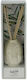 Diffuser με Άρωμα Jungle Safari 100ml