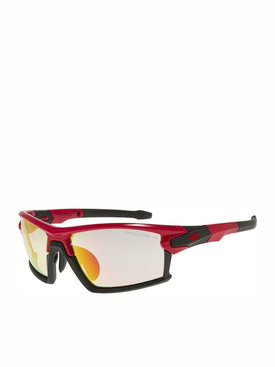 Goggle Tango C Γυαλιά Ηλίου με Κοκκάλινο Σκελετό Goggle Tango C Γυαλιά Ηλίου με Κοκκάλινο Σκελετό