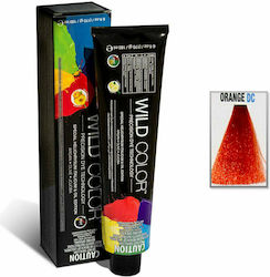 Wild Color Special Helichrysum Italicum & Oil E...