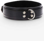 Taboom Heavy D-Ring Collar Black