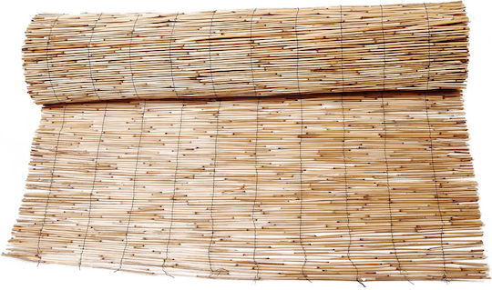 Камшик с Целият Рийд 1x3м
