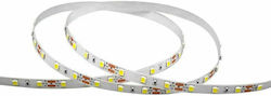 V-TAC LED Strip Power Supply 12V with Natural White Light Length 1m and 60 LEDs per Meter