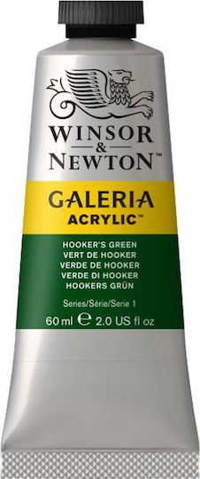 Winsor & Newton Acrylic Paint Set in Green color Hookers Green 60ml 1pcs