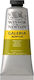 Winsor & Newton Acrylic Paint Set in Green color Green Gold 60ml 1pcs