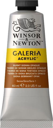 Winsor & Newton Acrylic Paint Set in Brown color Burnt Sienna Opaque 60ml 1pcs