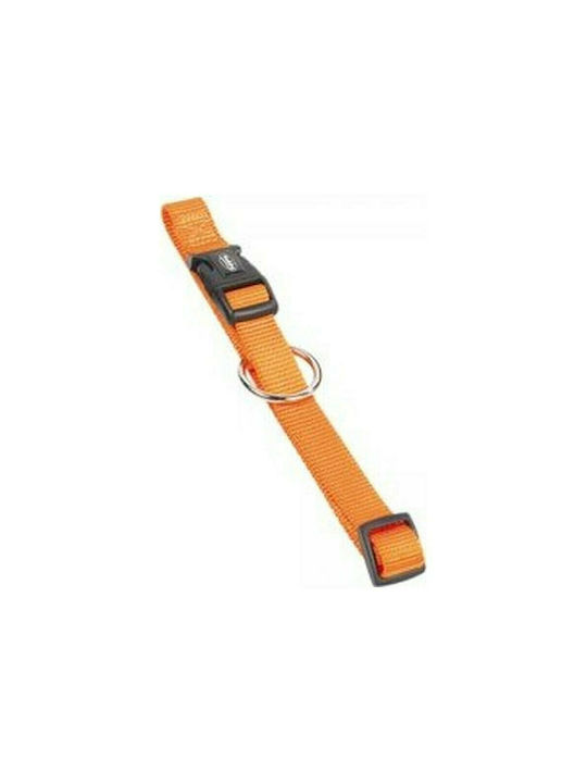 Nobby Classic Dog Collar In Orange Colour 10mm x 20 - 35cm