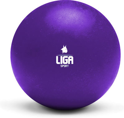 Liga Sport 155887 Massage Ball 10cm Purple