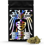 Hempoil Weed Queen Northern Lights Ανθός Κάνναβης με 72% CBD 10gr