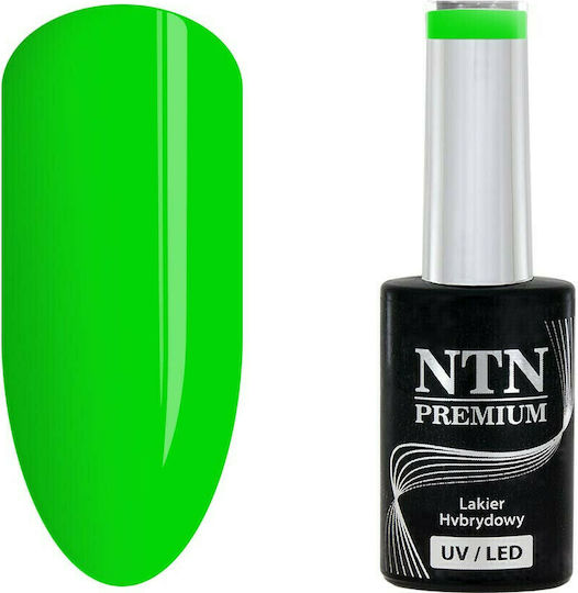 NTN Premium Semipermanent Lac de Unghii 146 5ml 1buc