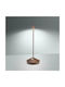 Zafferano Pina Pro Schreibtisch Beleuchtung LED Außenbereich 2.2W IP54 Braune