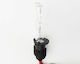 Lamps Car H1 Xenon 4300K Natural White 55W 1pcs