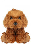 441626c, PMS, Plush puppy, cinnamon, 15cm