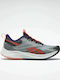 Reebok Floatride Energy 4 Adventure Γυναικεία Αθλητικά Παπούτσια Trail Running Pure Grey 3 / Core Black / Orange Flare