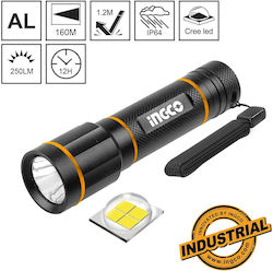 Ingco Wasserdicht Taschenlampe LED 250lm 3Stück Ingco Wasserdicht Taschenlampe LED 250lm 3Stück
