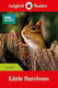 Little Survivors, Ladybird Readers Level 5 - Bbc Earth