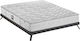 Linea Strom Focus New Μονό Ανατομικό Στρώμα 90x190x23cm με Ανεξάρτητα Ελατήρια