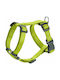 Hunter Σαμαράκι Σκύλου London Vario Rapid Κίτρινο X-Small / XX-Small 32-52cm 013499