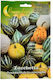 Primasem Samen Kürbisς Zucchini 1gr