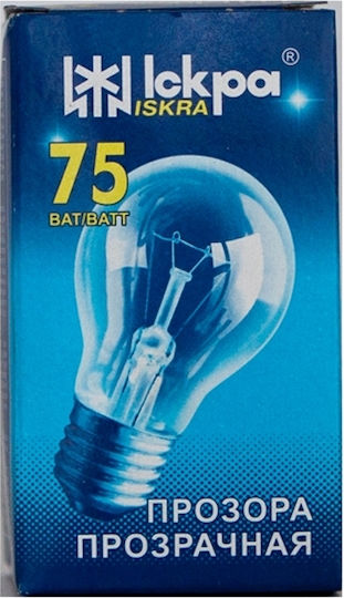 Iskra Λάμπα Ειδικού Τύπου 75W για Ντουί E27