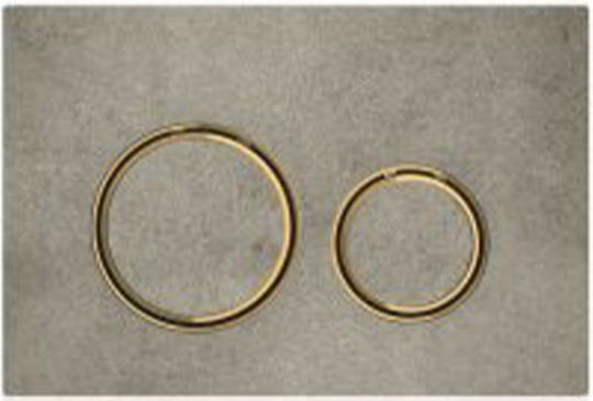 Geberit Flush Plate Dual Flush
