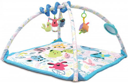 Plan Toys Baby Activity Gym for Newborns