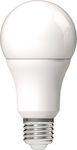 Avide ABG27CW-13W-AP LED Lampen für Fassung E27 und Form A60 Kühles Weiß 1521lm 1Stück 15.001.0942