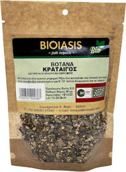 Bioiasis Păducel 30gr