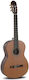 Gewa Κλασική Κιθάρα 4/4 Caballero By Mr Principio Series C CA-CM Brown