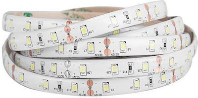 Eurolamp Bandă LED Alimentare 24V cu Lumină Alb Cald Lungime 5m și 60 LED-uri pe Metru SMD2835