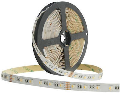 Eurolamp Rezistentă la apă Bandă LED Alimentare 24V cu Lumină Alb Cald Lungime 5m și 60 LED-uri pe Metru SMD2835