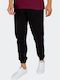 Vans Trecker Men's Sweatpants Black