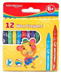 Keyroad Set de creioane colorate cu 12 culori KR971305