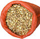 Gemma Seeds Onion Cocktail Onion 25kg/pcs