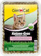 Gimborn Gimcat Cat Grass for Adult Cats 150g