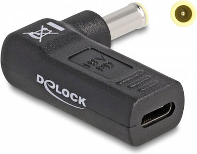 DeLock Ladegerät Stecker