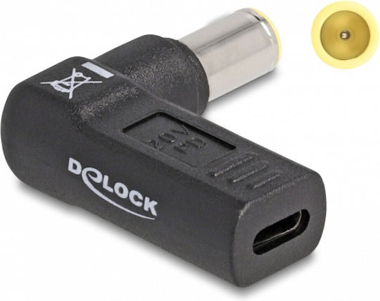 DeLock Βύσμα για Φορτιστή 60012