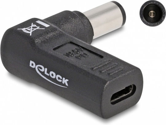DeLock Βύσμα για Φορτιστή 60005