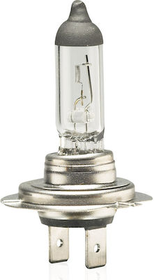 AMiO Lampen Auto H7 Halogen 12V 55W 1Stück