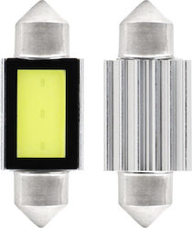 AMiO Автомобилни Крушки C5W 36mm CANBUS LED 560...