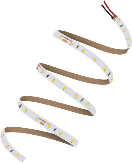 Ledvance Ταινία LED 24V Φυσικό Λευκό Φως 5m Τύπου SMD2835